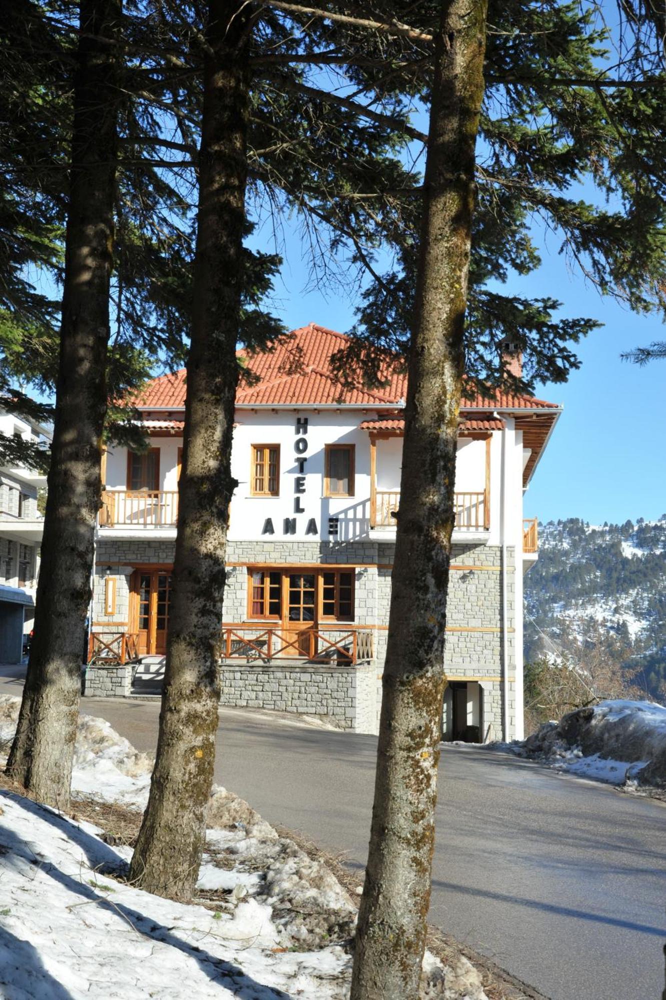 Hotel Anax Metsovo Buitenkant foto